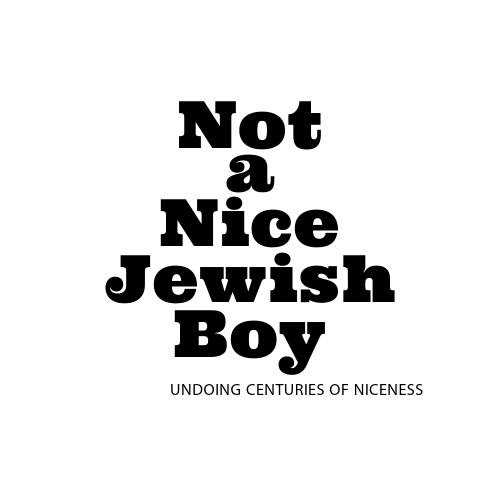 Not a Nice Jewish Boy